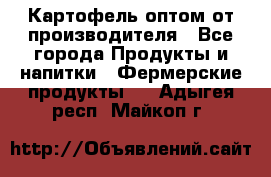 Картофель оптом от производителя - Все города Продукты и напитки » Фермерские продукты   . Адыгея респ.,Майкоп г.